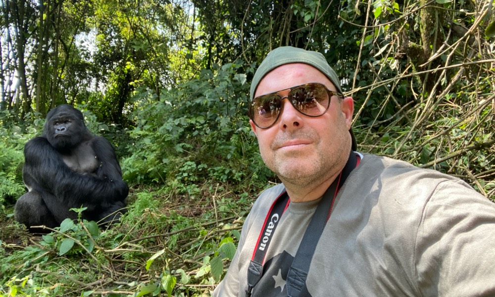 Ulterior Gorilla GrahamAlderman