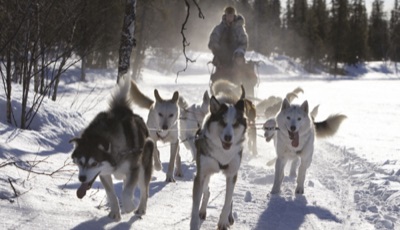 Finnish Lapland