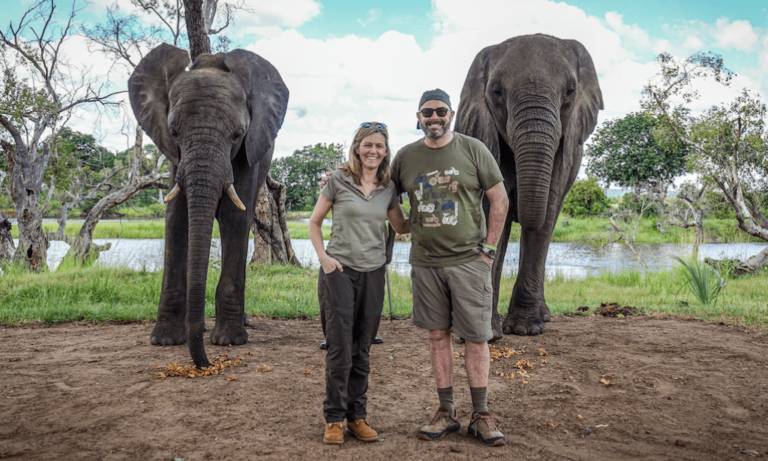 news clips featured image first safari incentive since pandemic